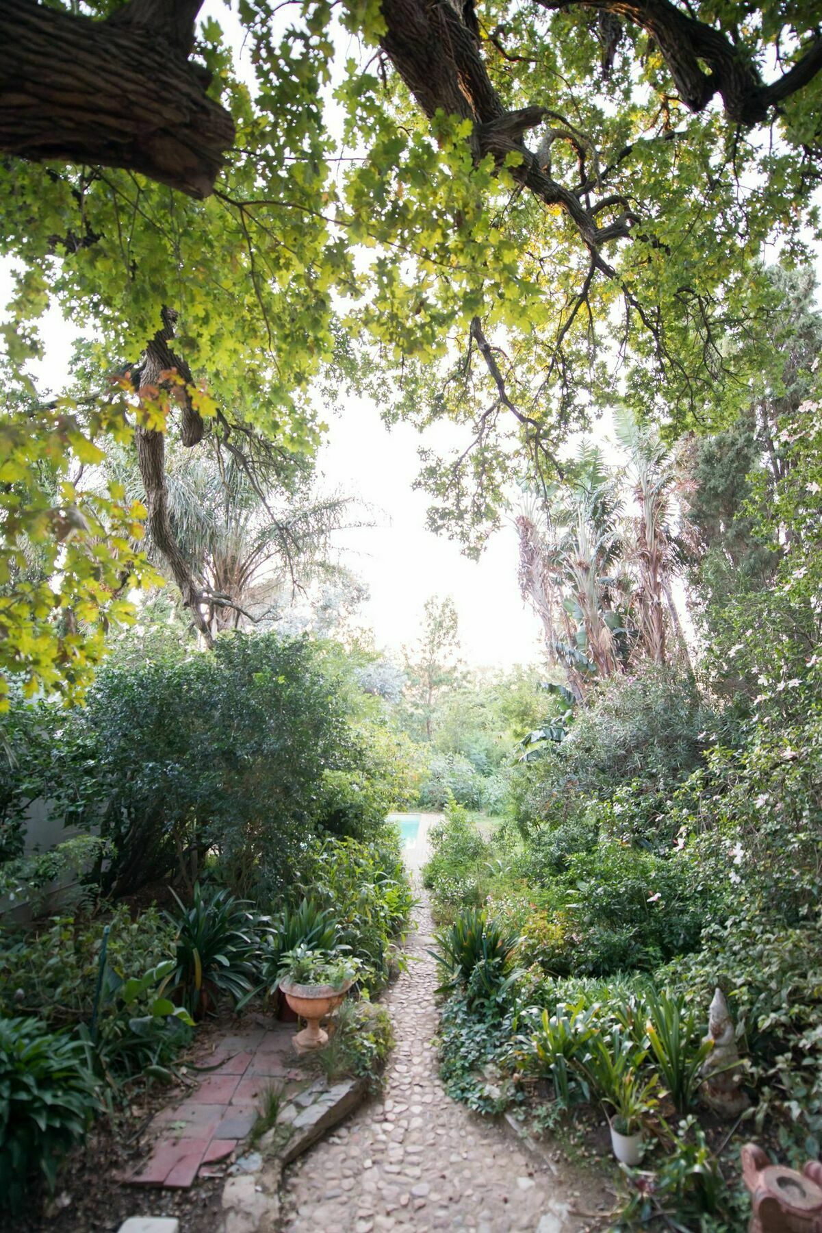 Tulbagh Country Guest House - Cape Dutch Quarters Exterior foto